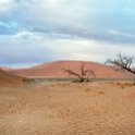 NAM HAR Dune45 2016NOV21 055 : 2016 - African Adventures, Hardap, Namibia, Southern, Africa, Dune 45, 2016, November